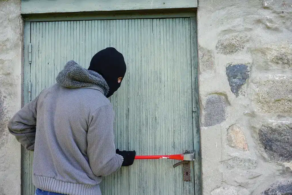 Burglar. Free public domain CC0