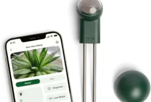 Sensor inteligente para plantas FYTA Beam + concentrador WiFi que mide agua, temperatura, luz y fertilizantes. Medidor de humedad, sensor de humedad del suelo y sensor de temperatura.