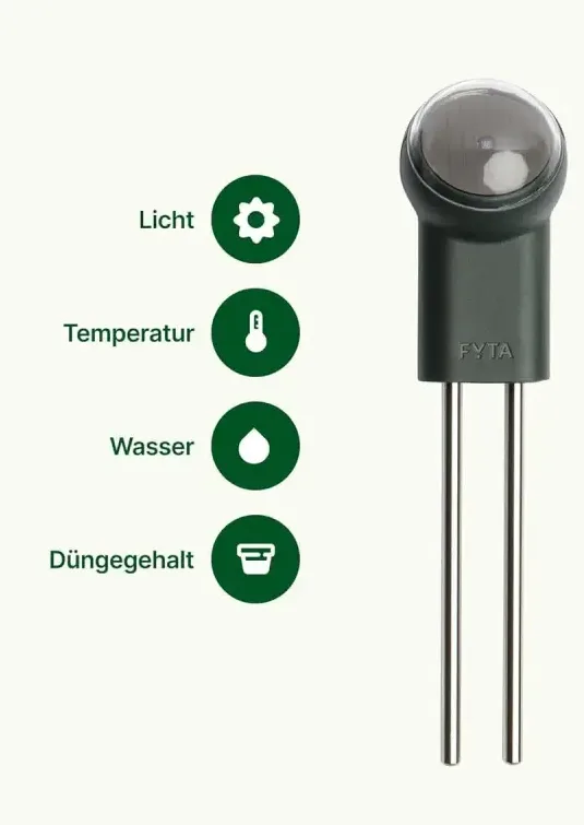 Was macht den FYTA Beam besonders?